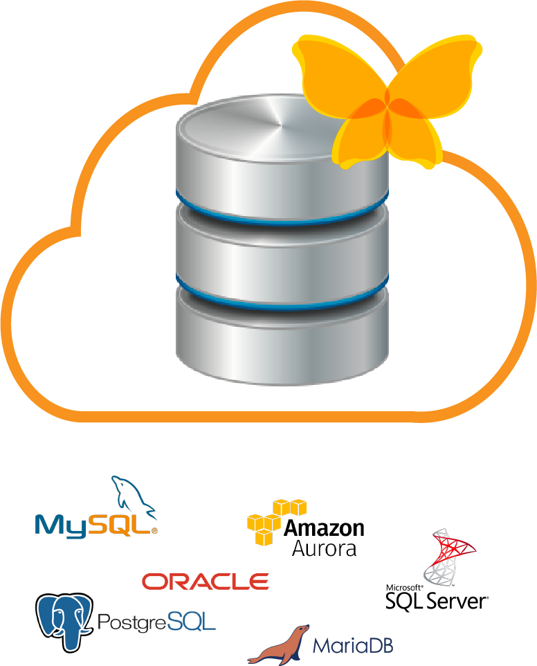 Cloud Databases
